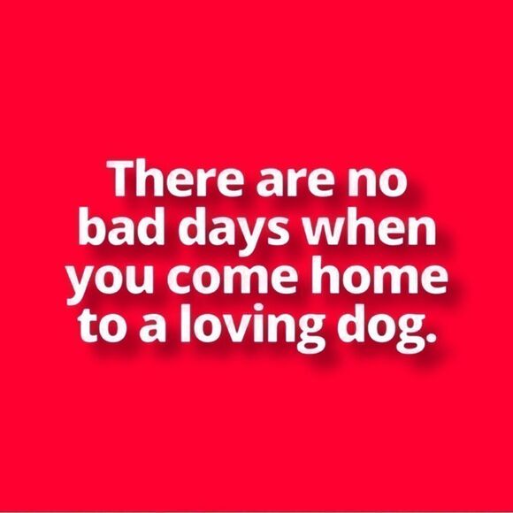 32 Degrees Dog Jacket • SM • NWT - Picture 2 of 6